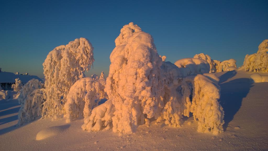 Kelotaehti Apartments Saariselkä Pokój zdjęcie