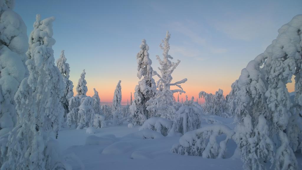 Kelotaehti Apartments Saariselkä Pokój zdjęcie