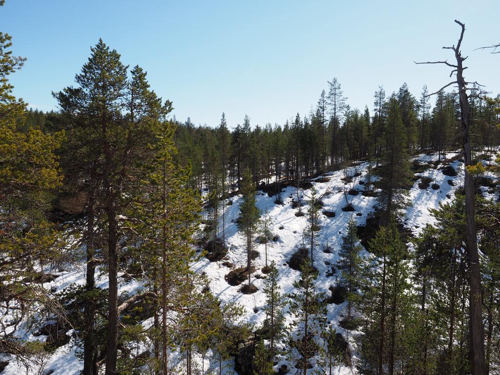 Kelotaehti Apartments Saariselkä Zewnętrze zdjęcie
